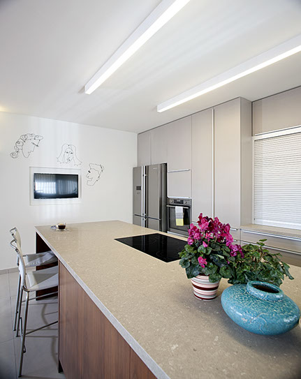 An Apartment Location: Tel Aviv Architect: Dorith Jaffe Kaminker Photography: Binyamin Adam